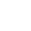 Domain Expertise