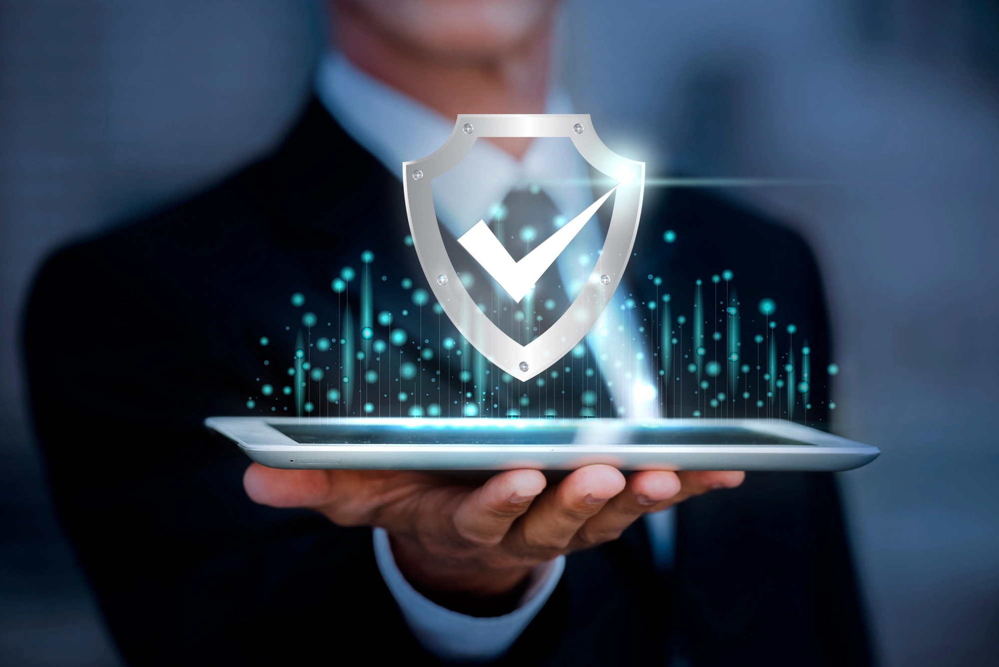 Risk/Security Testing Risk/Security Testing